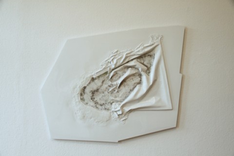 Fossil #2, 2010  